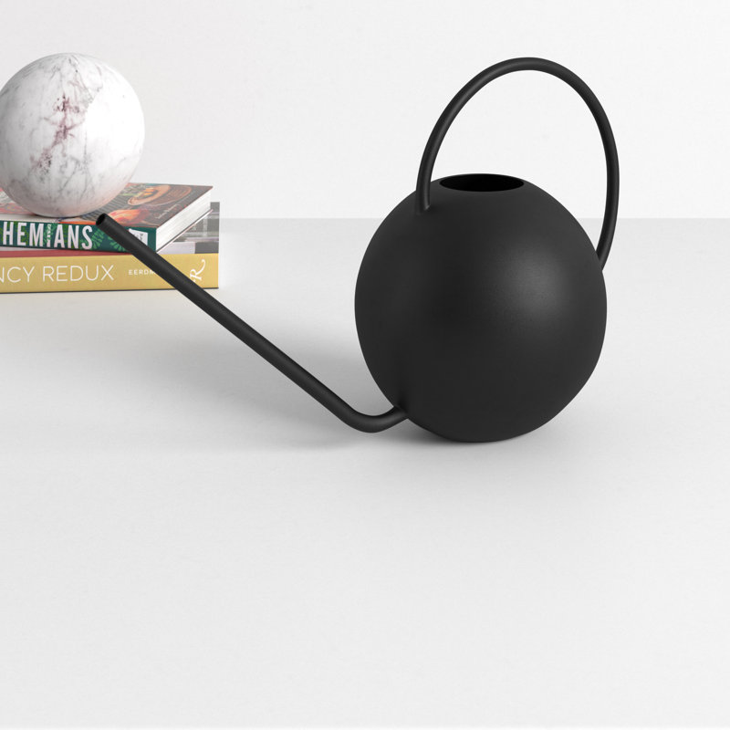 AllModern Addie Iron Watering Can & Reviews Wayfair